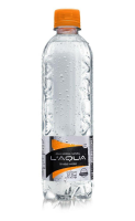 imagem de AGUA MINERAL IGARAPE  C GAS 500ML
