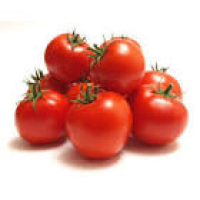 imagem de Tomate Kg