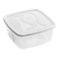 imagem de POTE VHERM QUADR FUNDO 2,5L 225